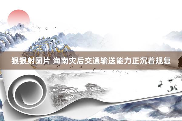 狠狠射图片 海南灾后交通输送能力正沉着规复
