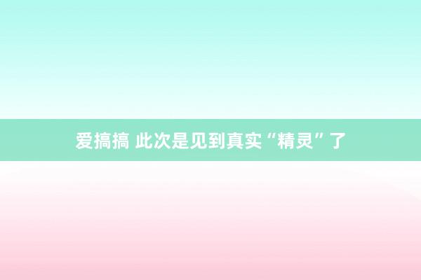 爱搞搞 此次是见到真实“精灵”了