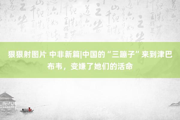 狠狠射图片 中非新篇|中国的“三蹦子”来到津巴布韦，变嫌了她们的活命