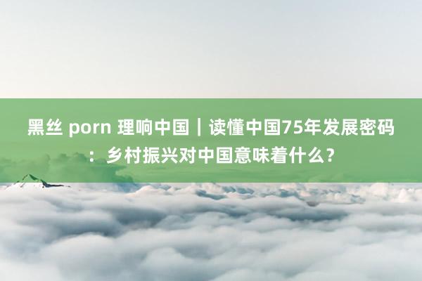 黑丝 porn 理响中国｜读懂中国75年发展密码：乡村振兴对中国意味着什么？