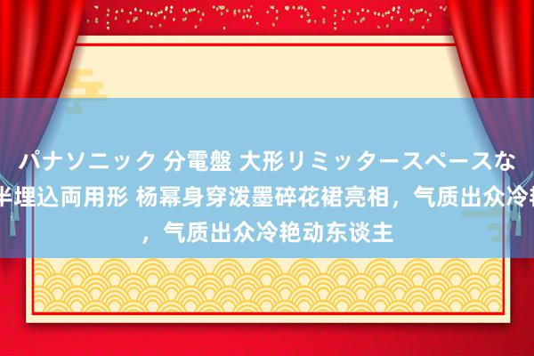 パナソニック 分電盤 大形リミッタースペースなし 露出・半埋込両用形 杨幂身穿泼墨碎花裙亮相，气质出众冷艳动东谈主