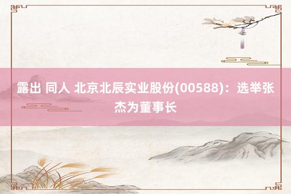 露出 同人 北京北辰实业股份(00588)：选举张杰为董事长