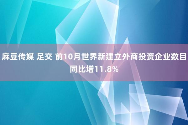 麻豆传媒 足交 前10月世界新建立外商投资企业数目同比增11.8%