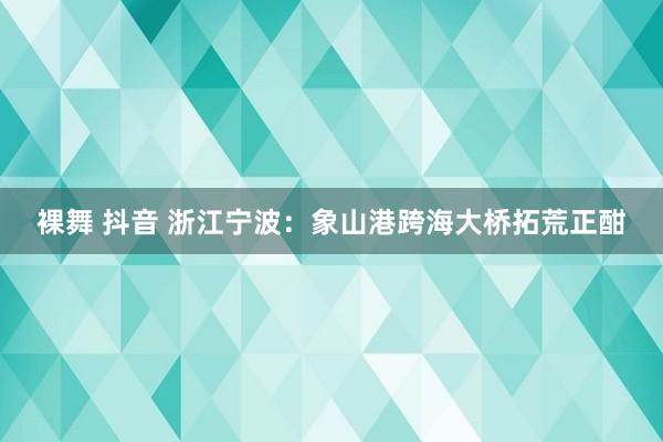 裸舞 抖音 浙江宁波：象山港跨海大桥拓荒正酣