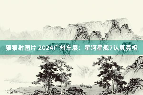 狠狠射图片 2024广州车展：星河星舰7认真亮相