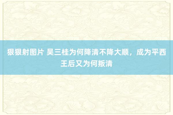 狠狠射图片 吴三桂为何降清不降大顺，成为平西王后又为何叛清