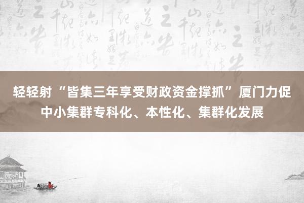 轻轻射 “皆集三年享受财政资金撑抓” 厦门力促中小集群专科化、本性化、集群化发展