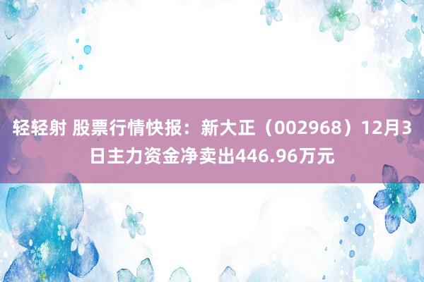 轻轻射 股票行情快报：新大正（002968）12月3日主力资金净卖出446.96万元