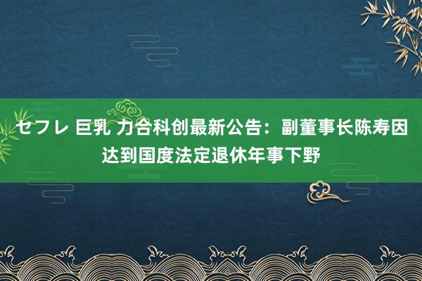 セフレ 巨乳 力合科创最新公告：副董事长陈寿因达到国度法定退休年事下野