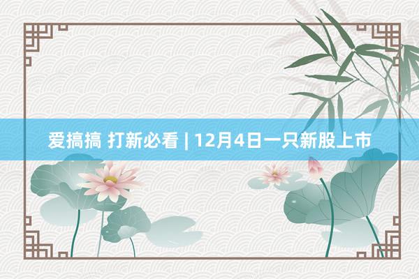 爱搞搞 打新必看 | 12月4日一只新股上市