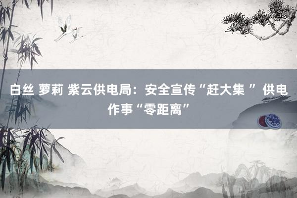 白丝 萝莉 紫云供电局：安全宣传“赶大集 ” 供电作事“零距离”