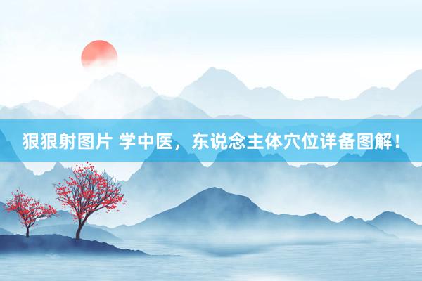 狠狠射图片 学中医，东说念主体穴位详备图解！