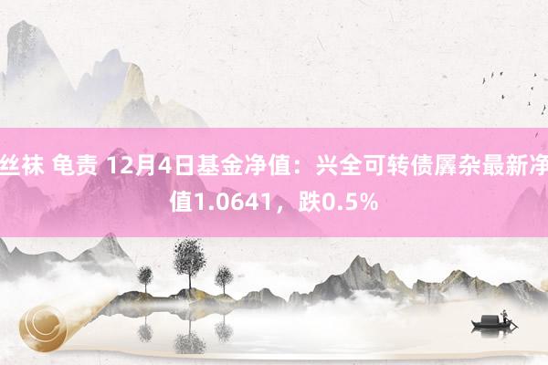 丝袜 龟责 12月4日基金净值：兴全可转债羼杂最新净值1.0641，跌0.5%