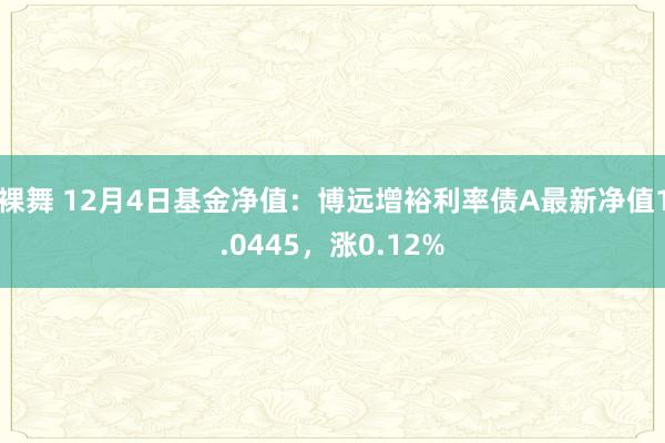 裸舞 12月4日基金净值：博远增裕利率债A最新净值1.0445，涨0.12%