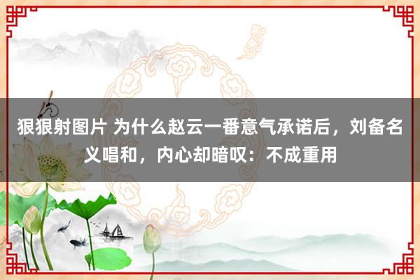 狠狠射图片 为什么赵云一番意气承诺后，刘备名义唱和，内心却暗叹：不成重用