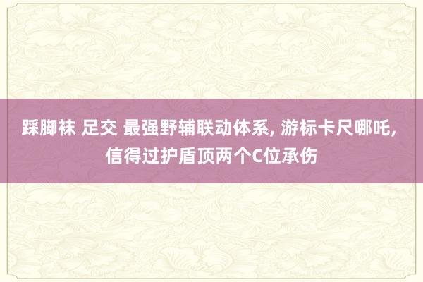 踩脚袜 足交 最强野辅联动体系, 游标卡尺哪吒, 信得过护盾顶两个C位承伤