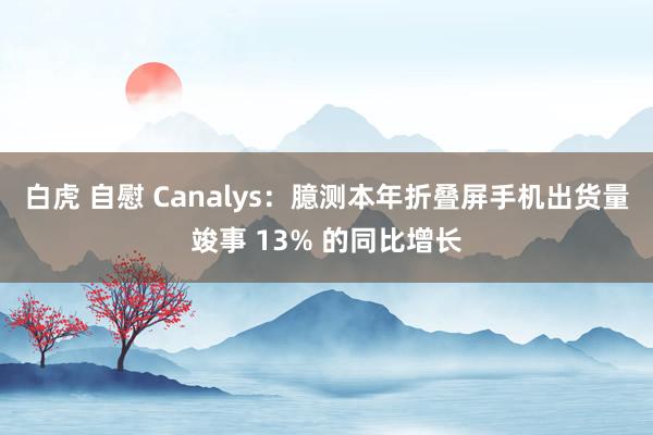白虎 自慰 Canalys：臆测本年折叠屏手机出货量竣事 13% 的同比增长