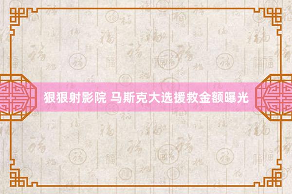 狠狠射影院 马斯克大选援救金额曝光