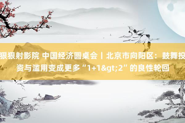 狠狠射影院 中国经济圆桌会丨北京市向阳区：鼓舞投资与滥用变成更多“1+1>2”的良性轮回