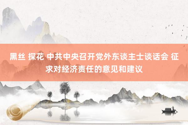 黑丝 探花 中共中央召开党外东谈主士谈话会 征求对经济责任的意见和建议