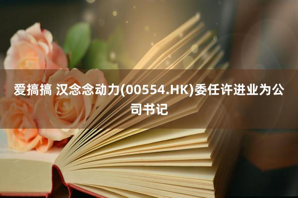 爱搞搞 汉念念动力(00554.HK)委任许进业为公司书记