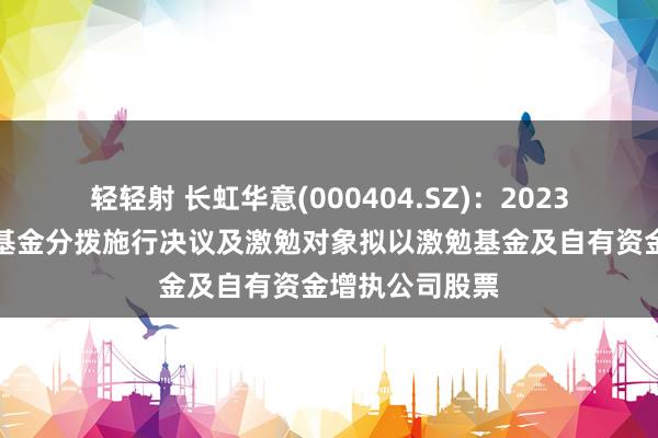 轻轻射 长虹华意(000404.SZ)：2023年度事迹激勉基金分拨施行决议及激勉对象拟以激勉基金及自有资金增执公司股票