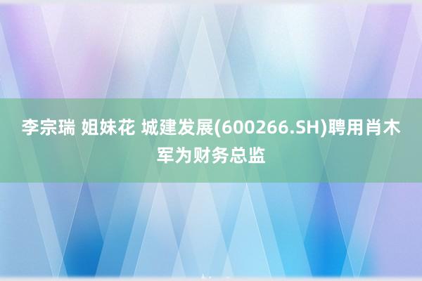 李宗瑞 姐妹花 城建发展(600266.SH)聘用肖木军为财务总监