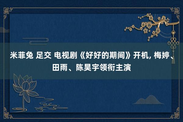 米菲兔 足交 电视剧《好好的期间》开机, 梅婷、田雨、陈昊宇领衔主演