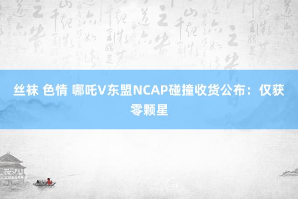 丝袜 色情 哪吒V东盟NCAP碰撞收货公布：仅获零颗星