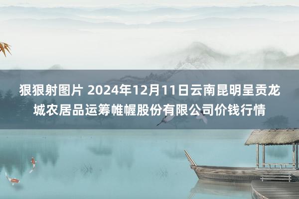 狠狠射图片 2024年12月11日云南昆明呈贡龙城农居品运筹帷幄股份有限公司价钱行情