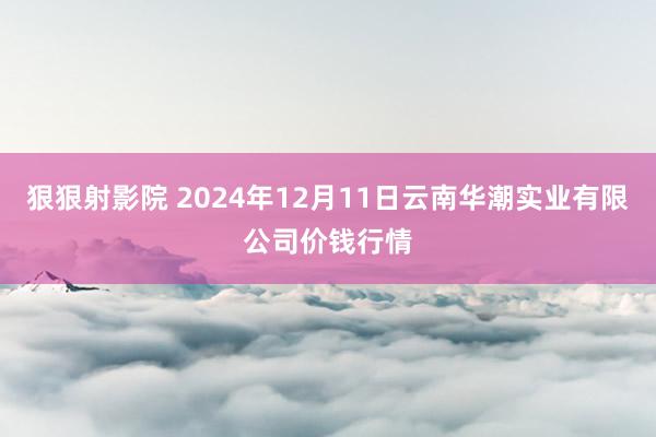 狠狠射影院 2024年12月11日云南华潮实业有限公司价钱行情