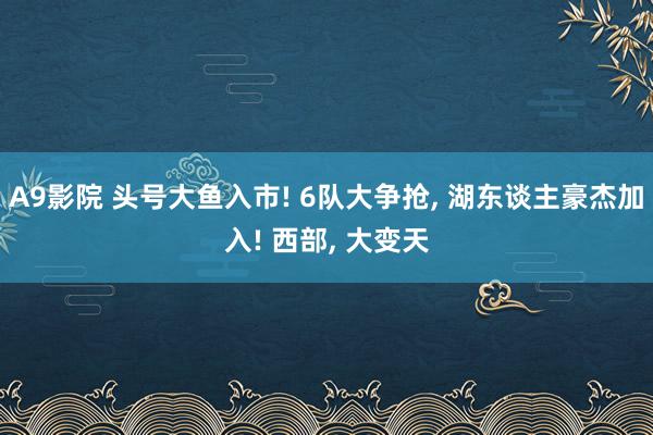 A9影院 头号大鱼入市! 6队大争抢, 湖东谈主豪杰加入! 西部, 大变天