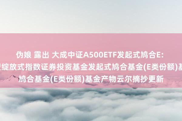 伪娘 露出 大成中证A500ETF发起式鸠合E: 大成中证A500交游型绽放式指数证券投资基金发起式鸠合基金(E类份额)基金产物云尔摘抄更新