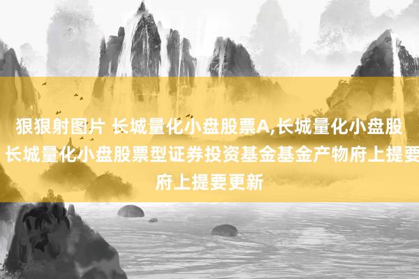 狠狠射图片 长城量化小盘股票A,长城量化小盘股票C: 长城量化小盘股票型证券投资基金基金产物府上提要更新