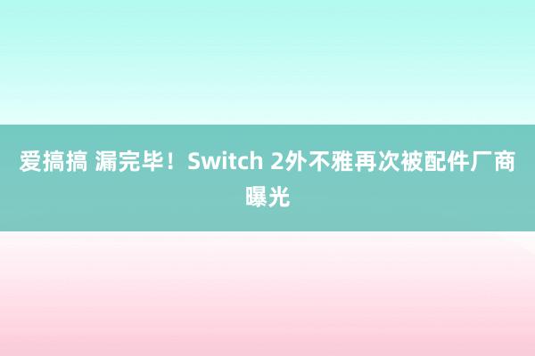 爱搞搞 漏完毕！Switch 2外不雅再次被配件厂商曝光