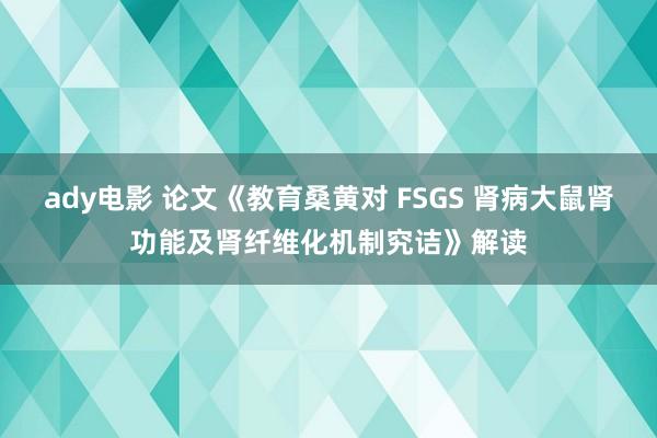 ady电影 论文《教育桑黄对 FSGS 肾病大鼠肾功能及肾纤维化机制究诘》解读