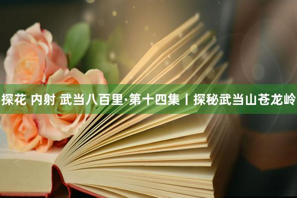 探花 内射 武当八百里·第十四集丨探秘武当山苍龙岭