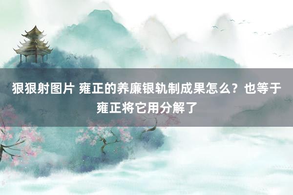狠狠射图片 雍正的养廉银轨制成果怎么？也等于雍正将它用分解了