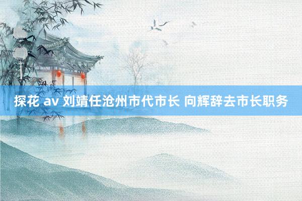 探花 av 刘靖任沧州市代市长 向辉辞去市长职务
