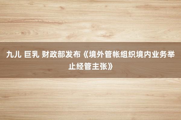 九儿 巨乳 财政部发布《境外管帐组织境内业务举止经管主张》