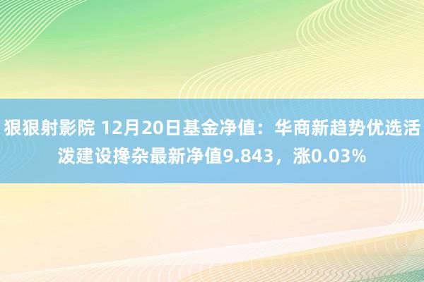 狠狠射影院 12月20日基金净值：华商新趋势优选活泼建设搀杂最新净值9.843，涨0.03%