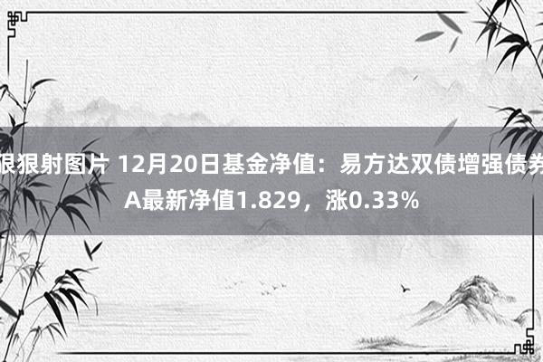 狠狠射图片 12月20日基金净值：易方达双债增强债券A最新净值1.829，涨0.33%
