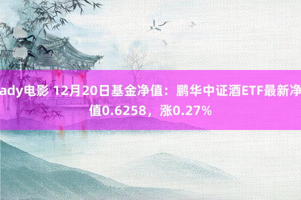 ady电影 12月20日基金净值：鹏华中证酒ETF最新净值0.6258，涨0.27%