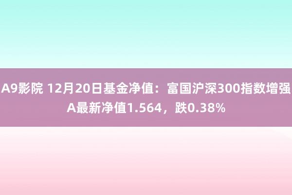 A9影院 12月20日基金净值：富国沪深300指数增强A最新净值1.564，跌0.38%