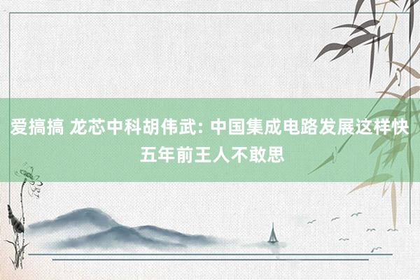 爱搞搞 龙芯中科胡伟武: 中国集成电路发展这样快 五年前王人不敢思