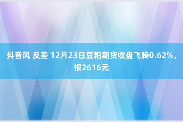 抖音风 反差 12月23日豆粕期货收盘飞腾0.62%，报2616元