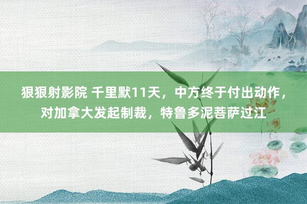 狠狠射影院 千里默11天，中方终于付出动作，对加拿大发起制裁，特鲁多泥菩萨过江