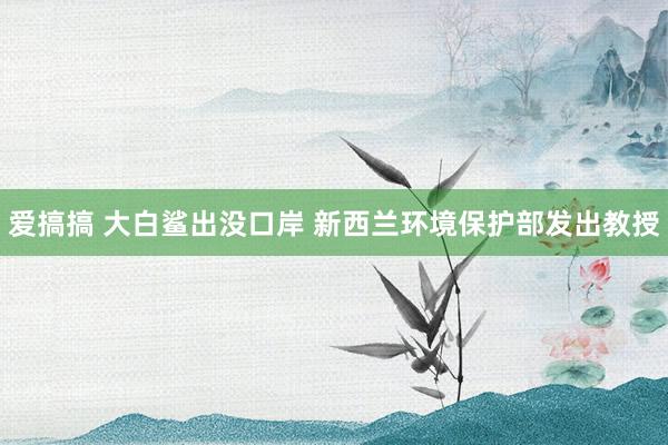 爱搞搞 大白鲨出没口岸 新西兰环境保护部发出教授