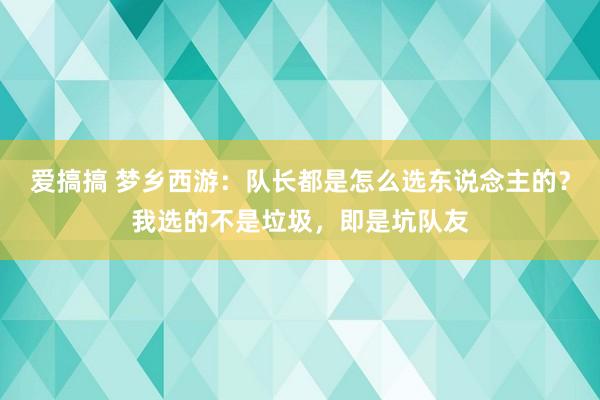 爱搞搞 梦乡西游：队长都是怎么选东说念主的？我选的不是垃圾，即是坑队友