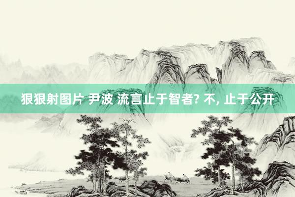 狠狠射图片 尹波 流言止于智者? 不, 止于公开